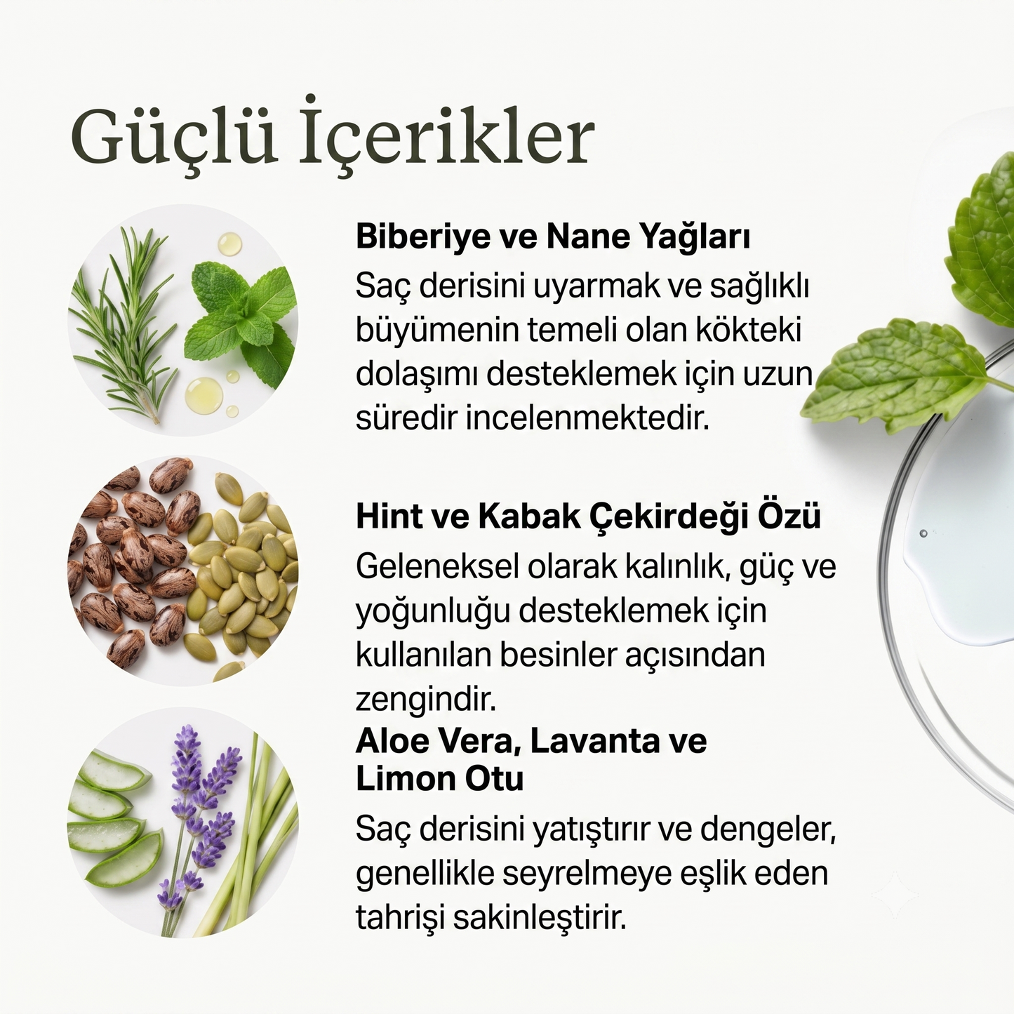 Solivia Canlandırıcı Saç Bakım Yağı